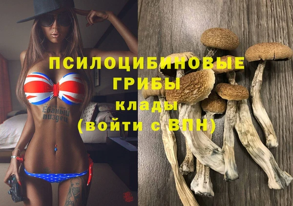 дурь Армянск