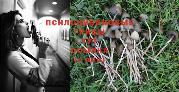 ГАЛЛЮЦИНОГЕННЫЕ ГРИБЫ Арсеньев