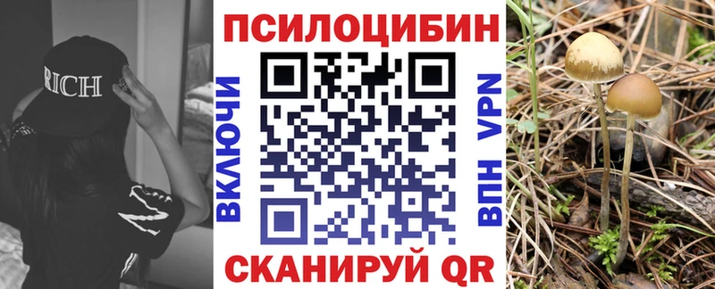 Галлюциногенные грибы мухоморы  blacksprut маркетплейс  Аткарск 